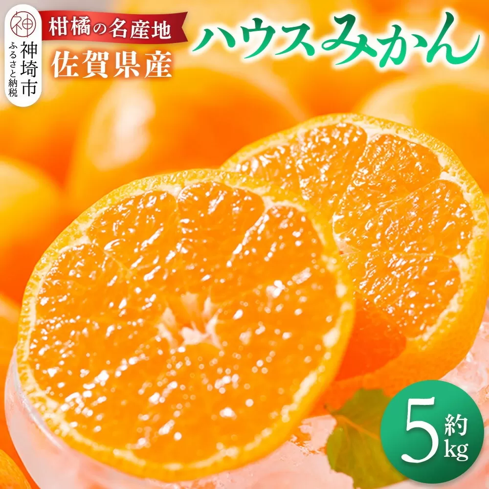 【先行受付 令和7年6月より発送】佐賀県産『ハウスみかん』約5000g【果物 フルーツ みかん 柑橘 ビタミン デザート ふるさと納税】(H108116)