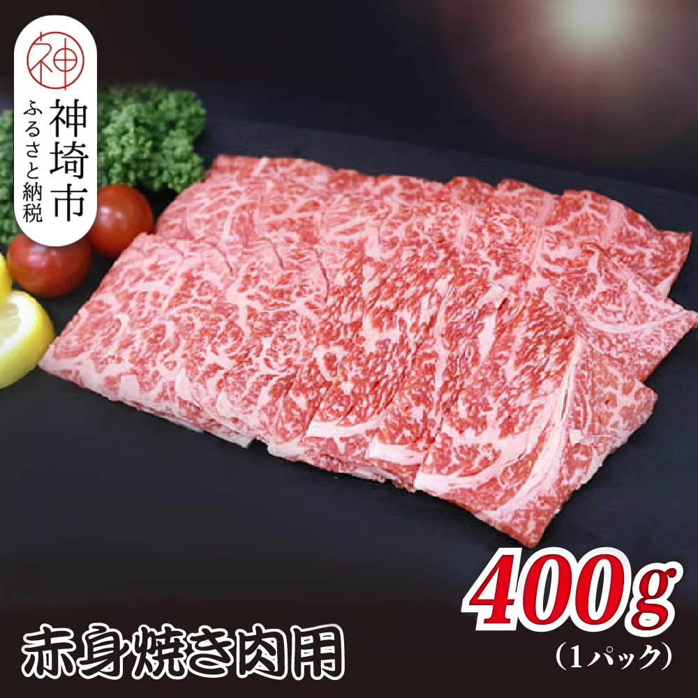 佐賀牛赤身焼肉用 400g【ヘルシー 贅沢な味わい 肉の旨み 脂身 ジューシー 食感 品質 赤身部分 豊かな旨み 濃厚な味わい 肉汁】(H118110)
