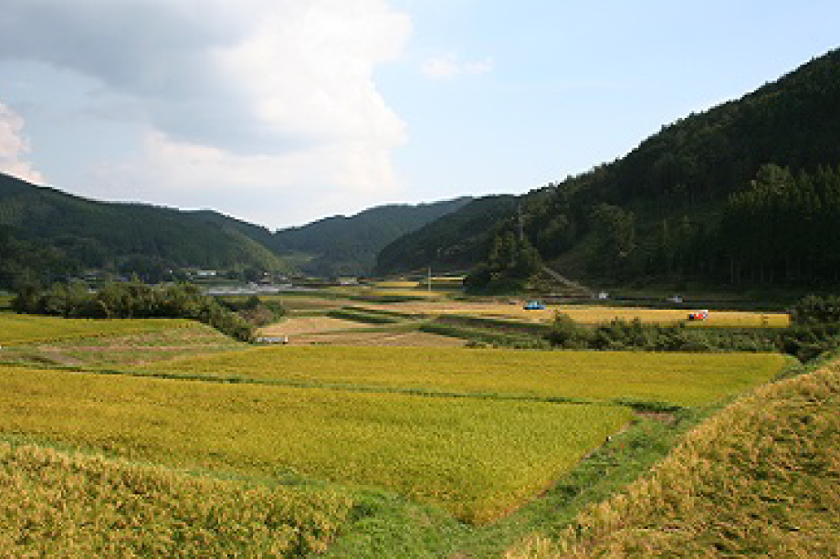 かんざきの自然環境の保全