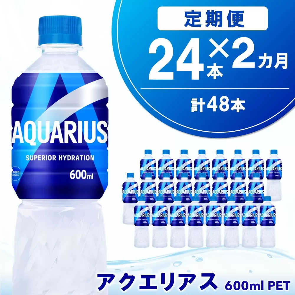 【2カ月定期便】アクエリアス 600mlPET×24本(1ケース)【コカコーラ 熱中症対策 スポーツ飲料 スポーツドリンク 水分補給 カロリーオフ ペットボトル 健康 スッキリ ミネラル アミノ酸 クエン酸 リフレッシュ 常備 保存 買い置き】K090515