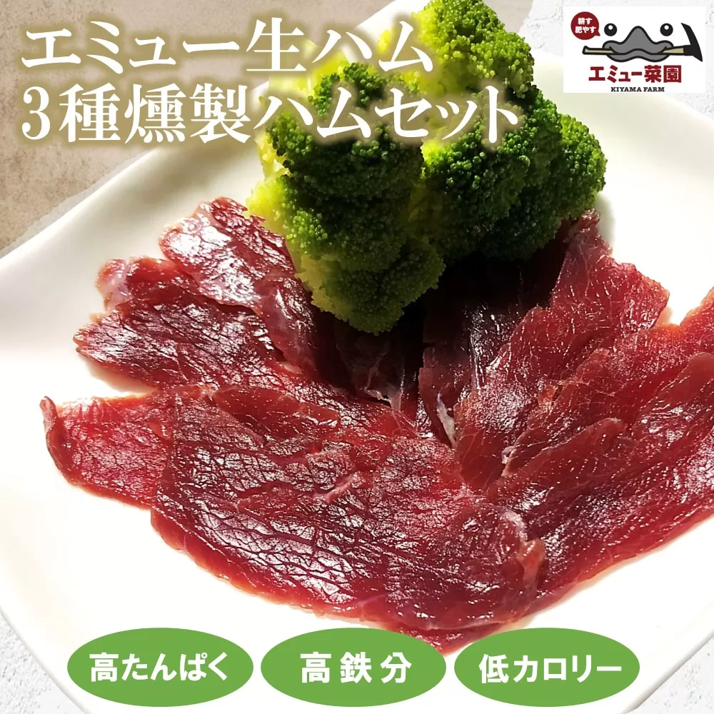 エミュー生ハム・3種燻製ハムセット【エミュー 基山産 高タンパク 高鉄分 低カロリー ヘルシー ジビエ 酒の肴 おつまみ 貴重肉 鉄分補給】K006020