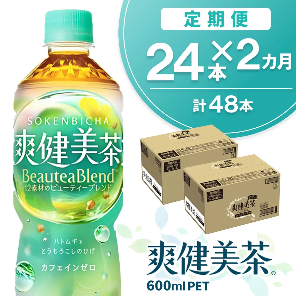 【2カ月定期便】爽健美茶 600mlPET×24本(合計2ケース)【コカコーラ カフェインゼロ 定期便 香ばしい おいしい お茶 ハトムギ 玄米 月見草 大麦 ドクダミ 飲料 ペットボトル 備蓄 防災 熱中症】K090455
