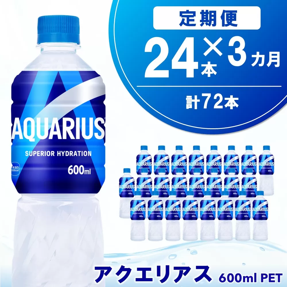 【3カ月定期便】アクエリアス 600mlPET×24本(1ケース)【コカコーラ 熱中症対策 スポーツ飲料 スポーツドリンク 水分補給 カロリーオフ ペットボトル 健康 スッキリ ミネラル アミノ酸 クエン酸 リフレッシュ 常備 保存 買い置き】K090464