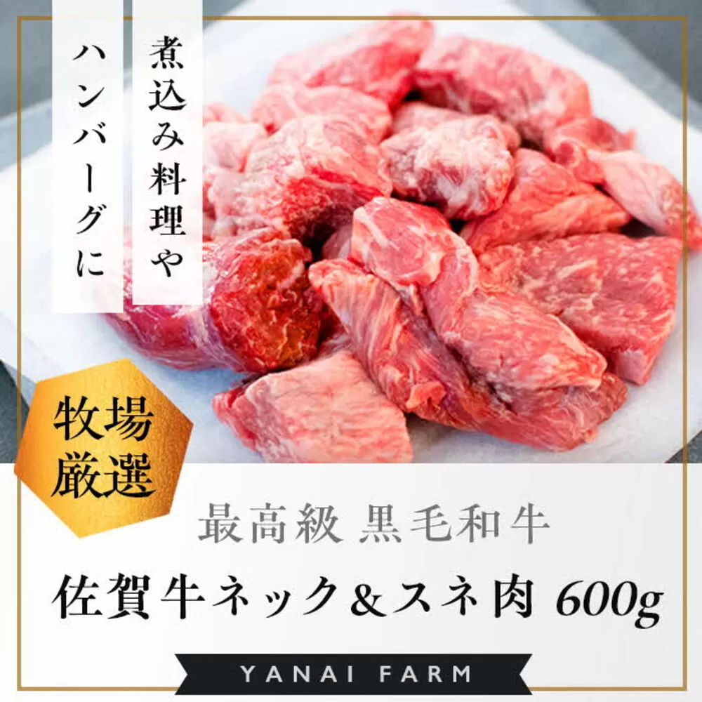 《佐賀牛》梁井 旨味たっぷり ネック＆スネ肉 600g【佐賀牛 スジ肉 赤身 コラーゲン ぷるぷる ほろほろ トロける スネ すね 煮込み料理 カレー シチュー 美味しい ブランド肉】K081022