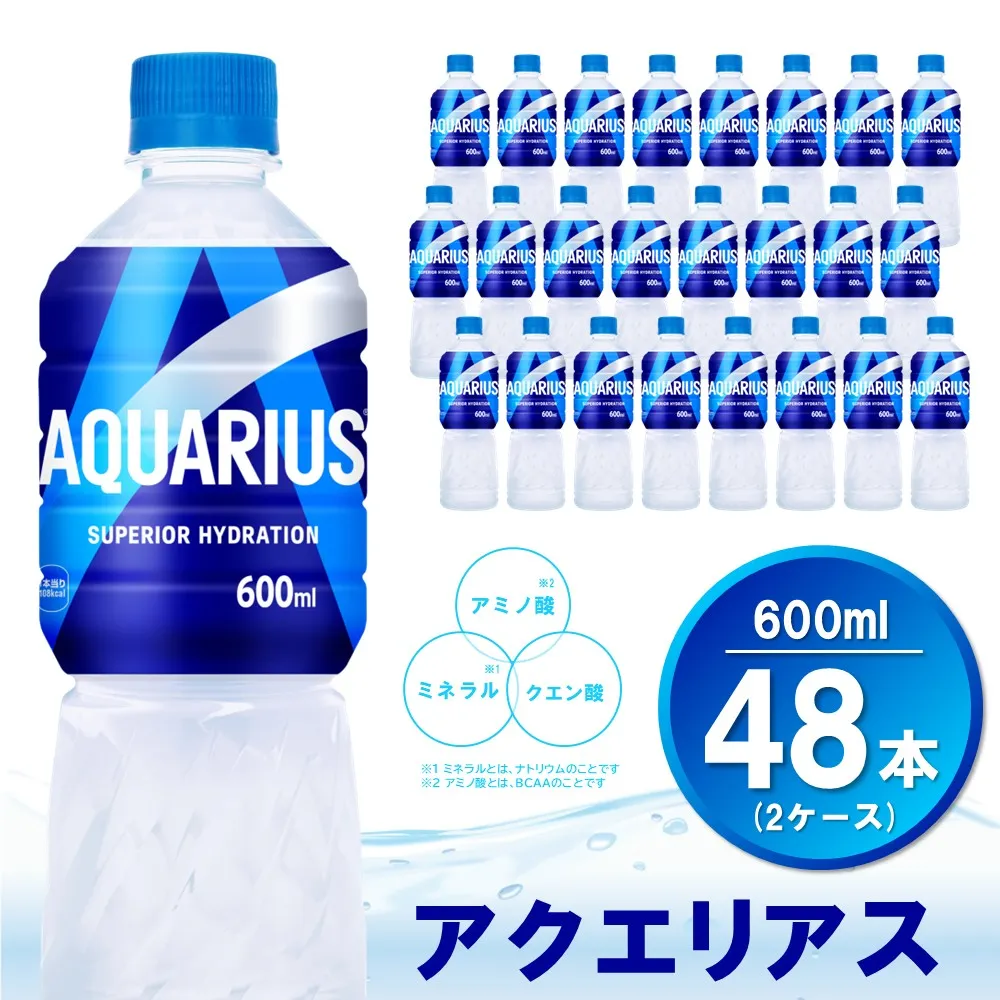 アクエリアス 600mlPET×24本(2ケース) 計48本【コカコーラ 熱中症対策 スポーツ飲料 スポーツドリンク 水分補給 カロリーオフ ペットボトル 健康 スッキリ ミネラル アミノ酸 クエン酸 リフレッシュ 常備 保存 買い置き】K090111