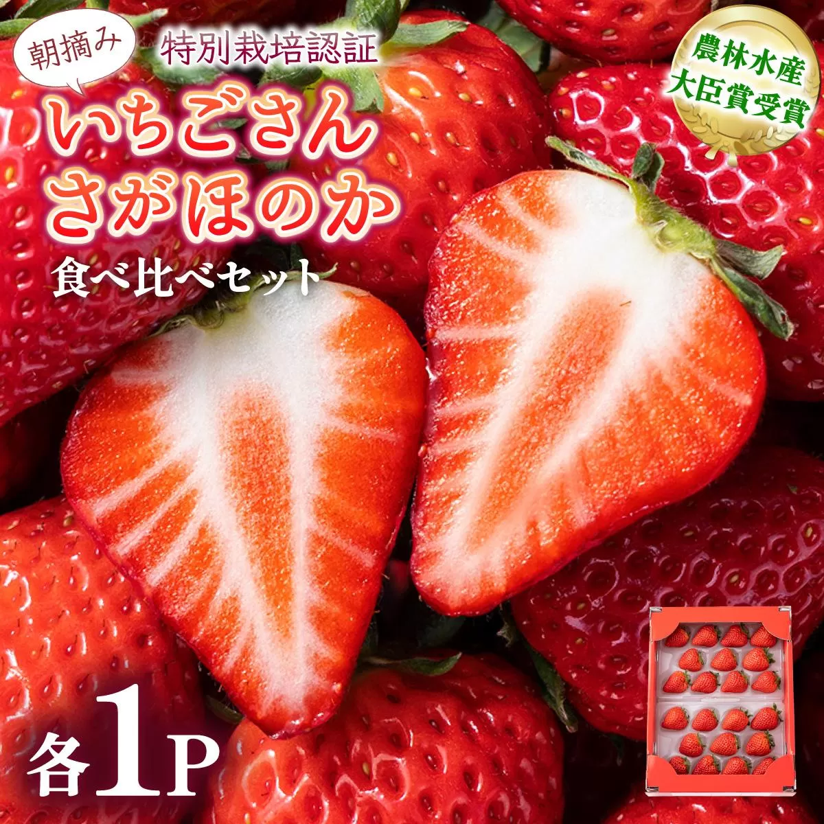 【先行予約】数量限定 いちごさん＆さがほのか食べ比べセット ★贈り物にも最適★
