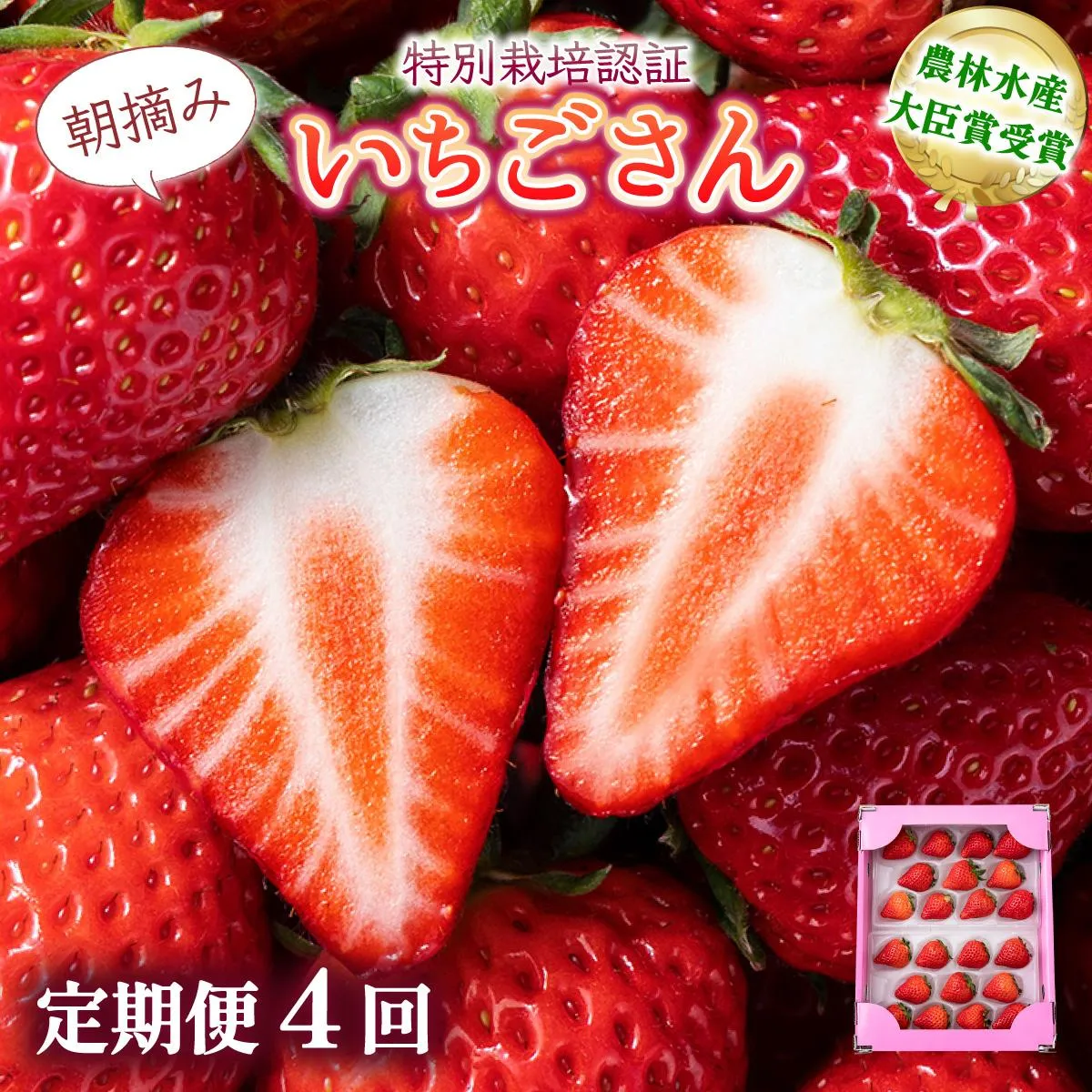 【先行予約】数量限定！佐賀県人気No.1苺”いちごさん”  4回定期便 （1回 235g×4p 約1kg）