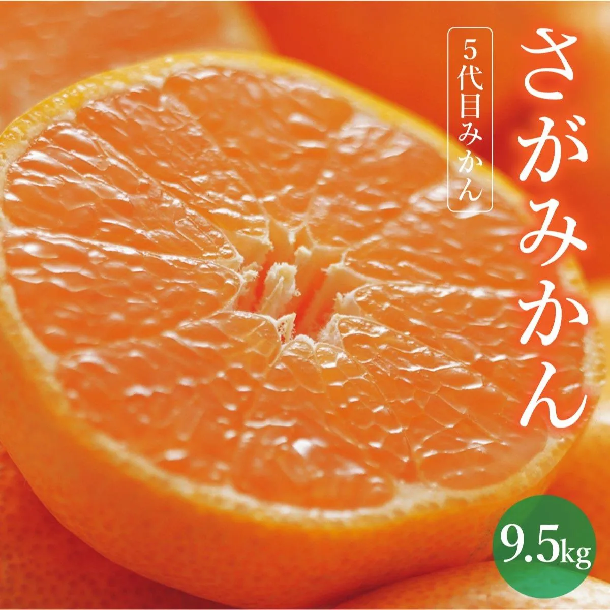 【期間限定】さがみかん (5代目みかん) 9.5kg【温州みかん 甘い 濃厚 ジューシー コク 完熟 熟成みかん 蔵出し 蔵入り 柑橘 密柑 ギフト 果物 フルーツ 佐賀県産 佐賀県 大和 太良 石橋果樹園 人気】