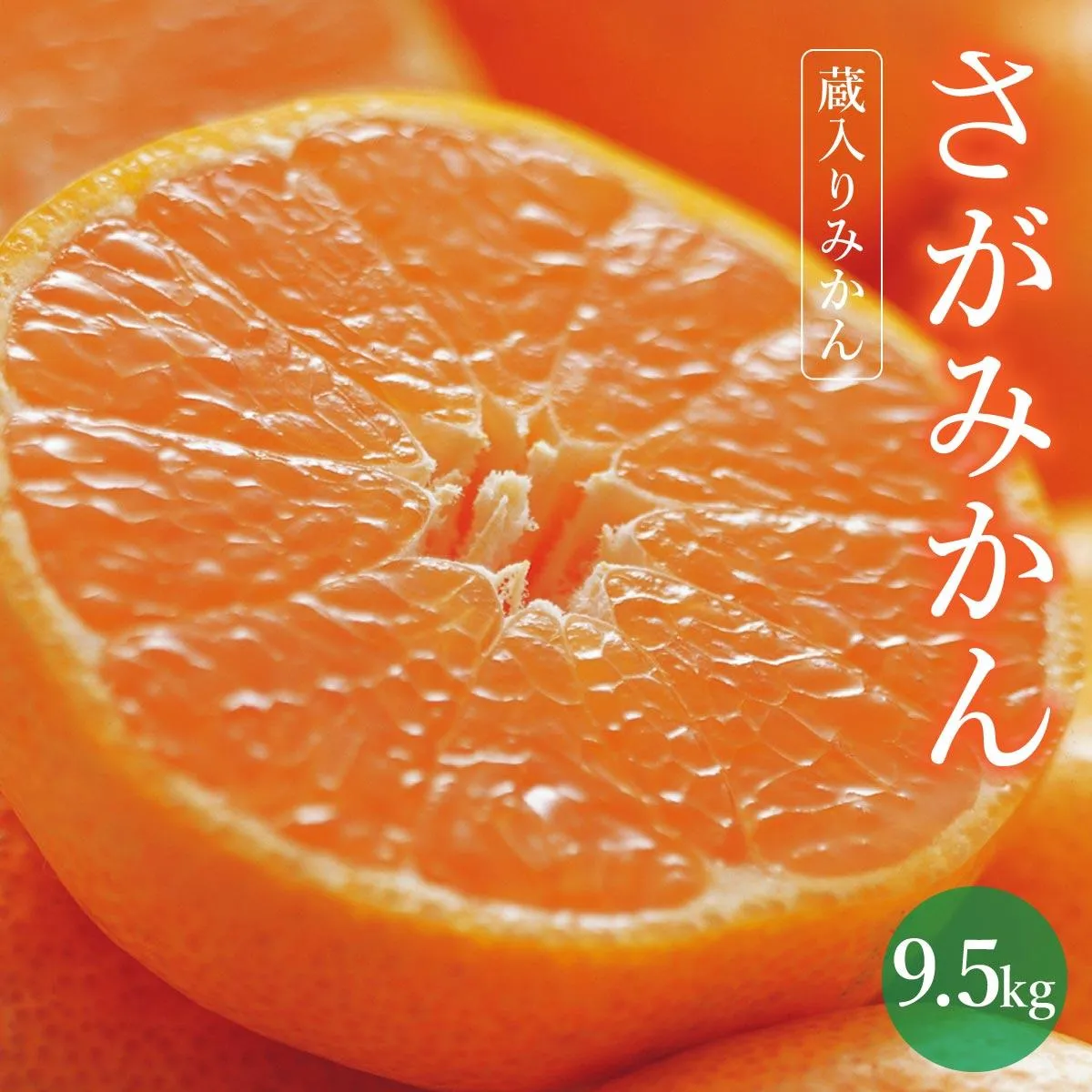 【期間限定】さがみかん (蔵入りみかん9.5kg)【温州みかん 甘い 濃厚 ジューシー コク 完熟 熟成みかん 蔵出し 蔵入り 柑橘 密柑 ギフト 果物 フルーツ 佐賀県産 佐賀県 大和 太良 石橋果樹園 人気】