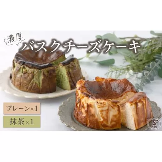 濃厚バスクチーズケーキ プレーン×1 抹茶×1  [C-694-SP_003]