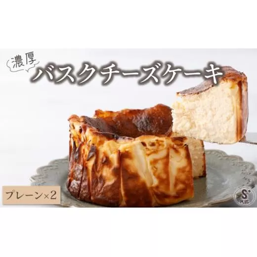 濃厚バスクチーズケーキ プレーン×2   [C-694-SP_001]