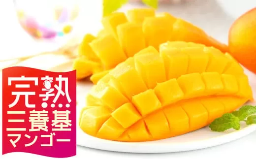 【完熟三養基マンゴー】アップルマンゴー 約1kg (3個入) C-538