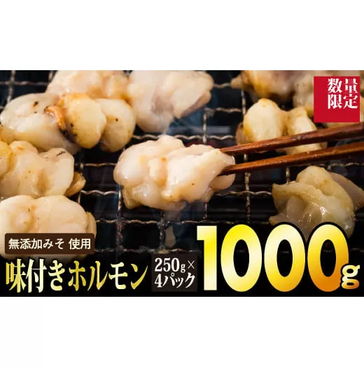 【数量限定】1,000g 味付ホルモン（定期便6回）H-263　【上峰町ふるさと納税】