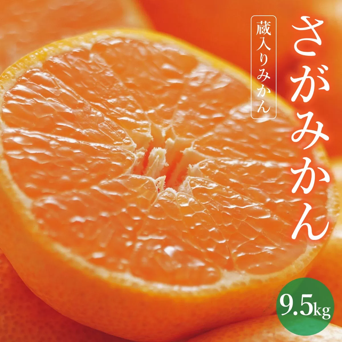 【期間限定】さがみかん （蔵入りみかん9.5kg）【温州みかん 甘い 濃厚 ジューシー コク 完熟 熟成みかん 蔵出し 蔵入り 柑橘 密柑 ギフト 果物 フルーツ 佐賀県産 佐賀県 大和 太良 石橋果樹園 人気】【D-661-IK】