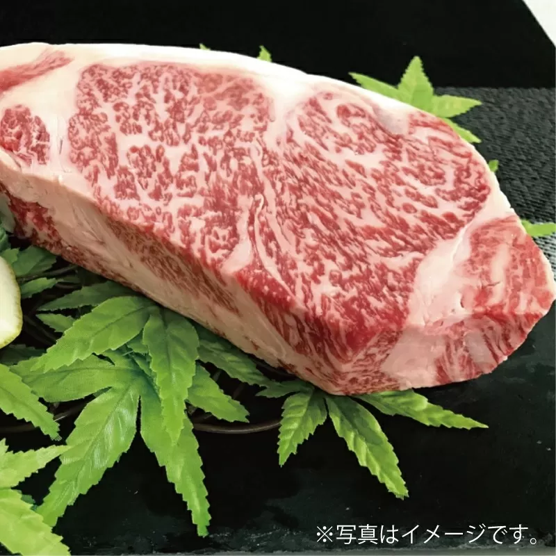 500g【佐賀牛】ロースブロック（タタキ・ローストビーフ・焼肉等） E-151　【上峰町ふるさと納税】