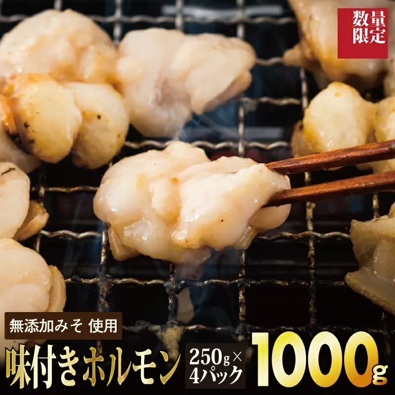 【数量限定】1,000g 佐賀牛 味付ホルモン D-520　【上峰町ふるさと納税】