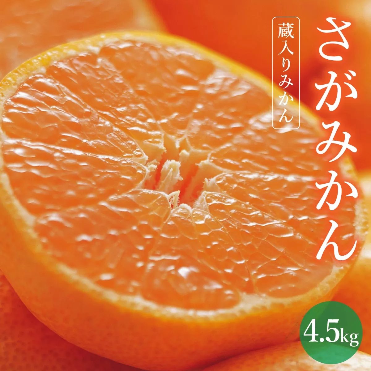 【期間限定】さがみかん （蔵入りみかん4.5kg）【温州みかん 甘い 濃厚 ジューシー コク 完熟 熟成みかん 蔵出し 蔵入り 柑橘 密柑 ギフト 果物 フルーツ 佐賀県産 佐賀県 大和 太良 石橋果樹園 人気】【B-1121-IK】