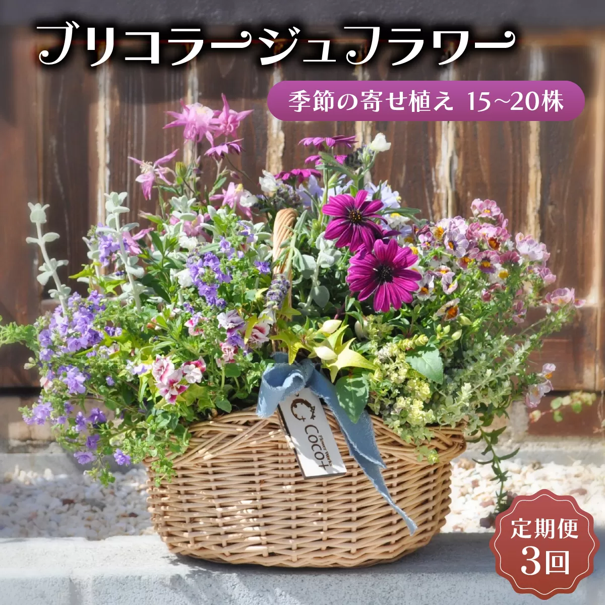 【定期便3回】季節のお花が楽しめる☆お花屋さんの定期便 3回 ブリコラージュフラワー 寄せ植え 15~20株