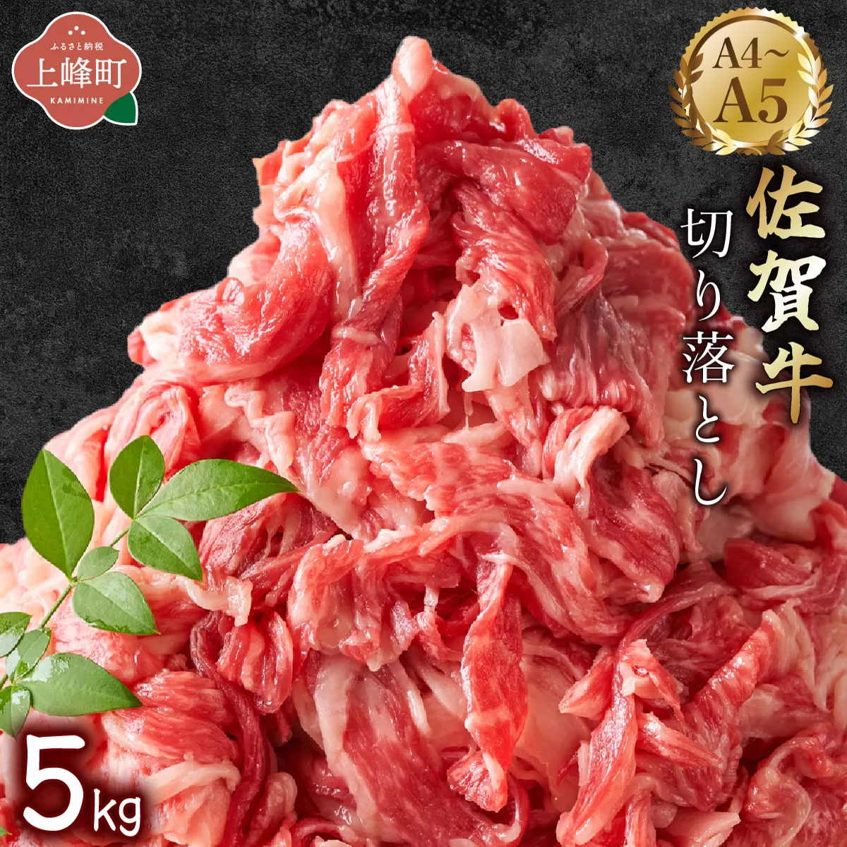 艶さし![A4~A5]佐賀牛切り落とし 5kg (500g×10P) G-261-MP