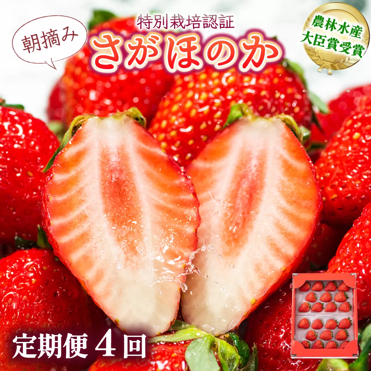 【先行予約】数量限定！あまい果汁溢れる！最高級品質”さがほのか” 4回定期便 （1回 235g×4p 約1kg）