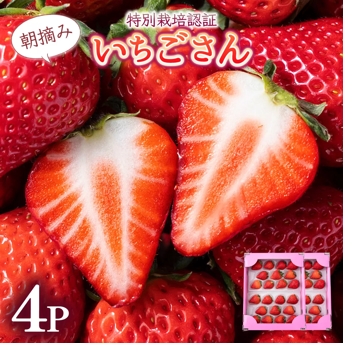 【先行予約】数量限定！佐賀県人気No.1苺”いちごさん” 約1kg（235g×4p）