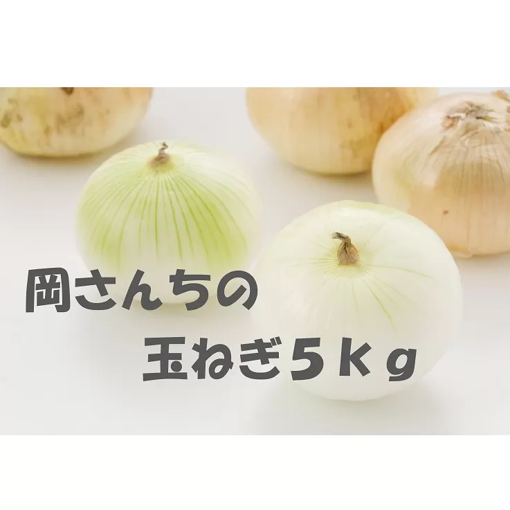 BE012　佐賀県みやき町岡さんちのたまねぎ5kg「２L、３Lサイズ」