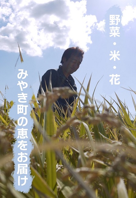 CC003_【3回定期便】かずちゃんの朝採り新鮮野菜セット毎月 CC003_【3回定期便】かずちゃんの朝採り新鮮野菜セット毎月