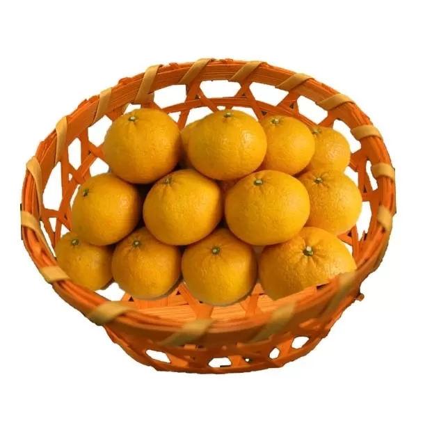 DV131_甘夏5ｋｇ