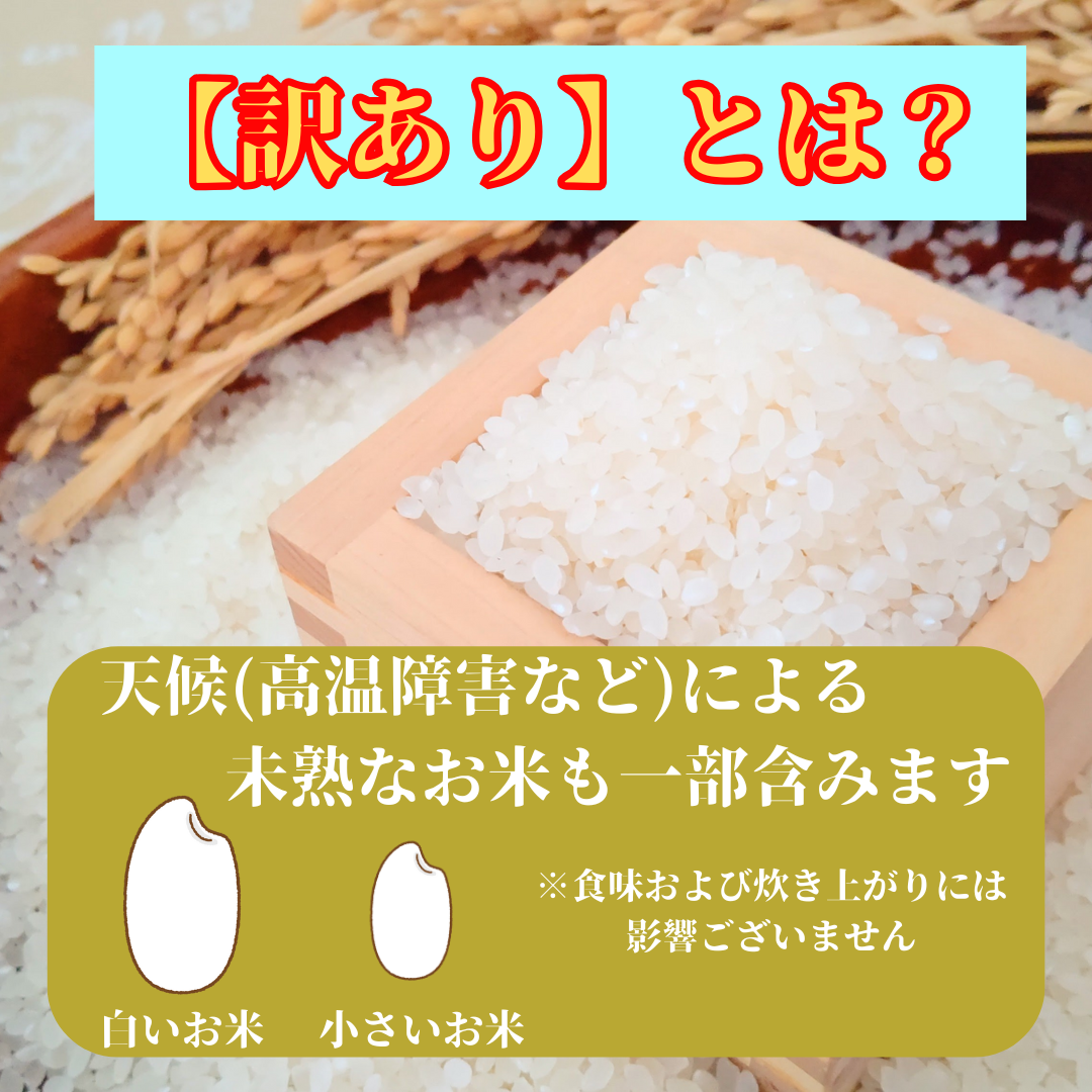 あいる　お米　15キロ IRIS OHYAMA 米 10kg 令和6年産 米10kg 安い 無洗米