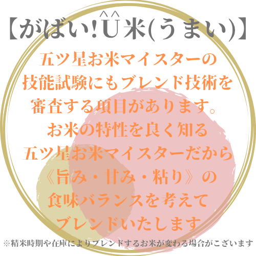 CID13_【がばい！U米(うまい)】≪無洗米≫お徳用5kg