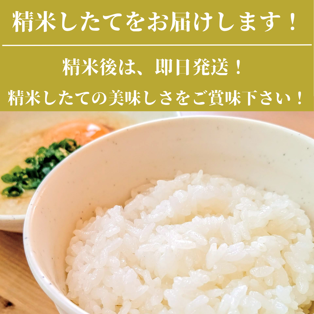 CID13_【がばい！U米(うまい)】≪無洗米≫お徳用5kg