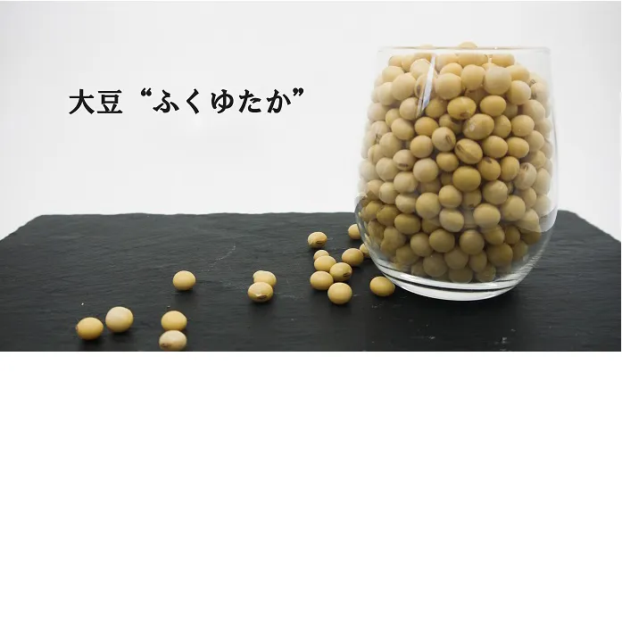 BE022_佐賀県みやき町農家岡さんちの大豆ふくゆたか3kg
