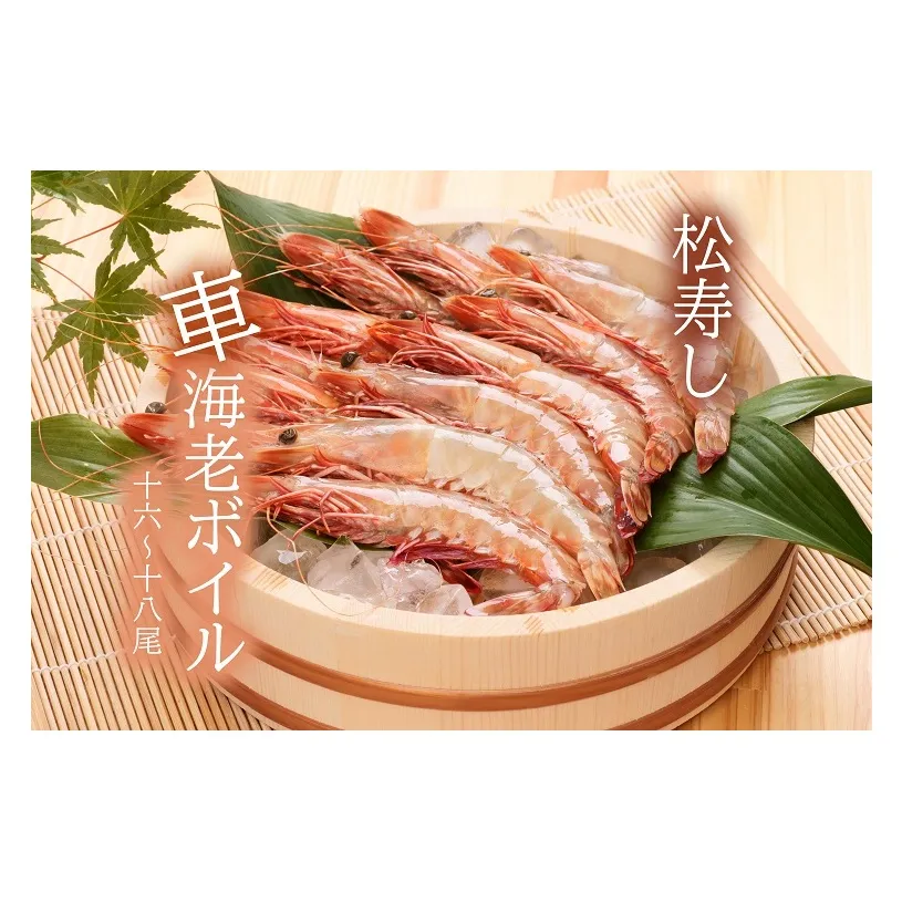 CB006_活車海老ボイル　500g　（16～18尾）