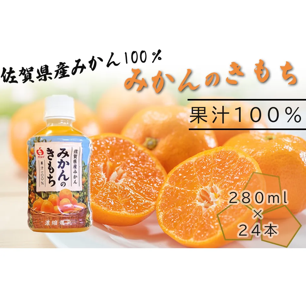 DV225_みかんのきもち　280mlペットボトルX24本入り