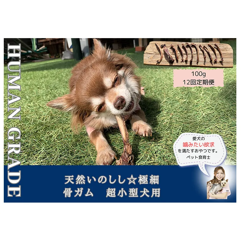 FB171_超小型犬向け☆天然いのししの骨ガム100g【定期便】全12回