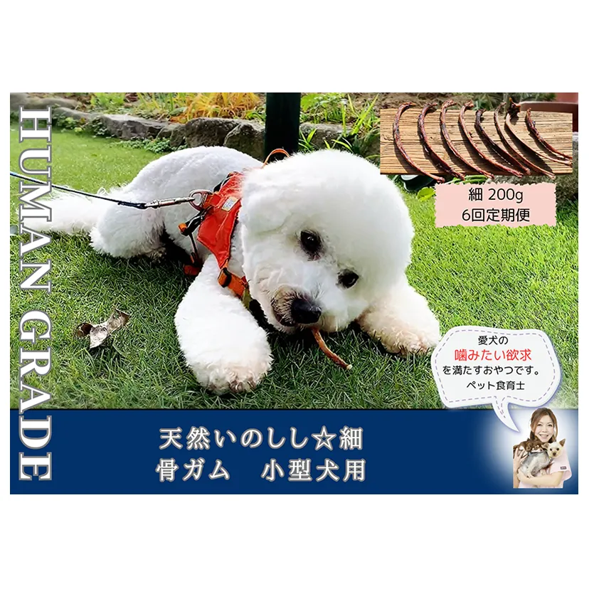 FB173_小型犬向け☆天然いのししの骨ガム200g【定期便】全6回