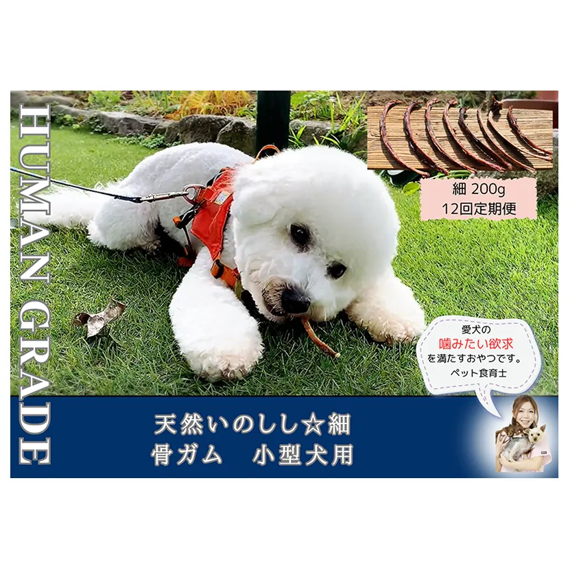 FB174_小型犬向け☆天然いのししの骨ガム200g【定期便】全12回