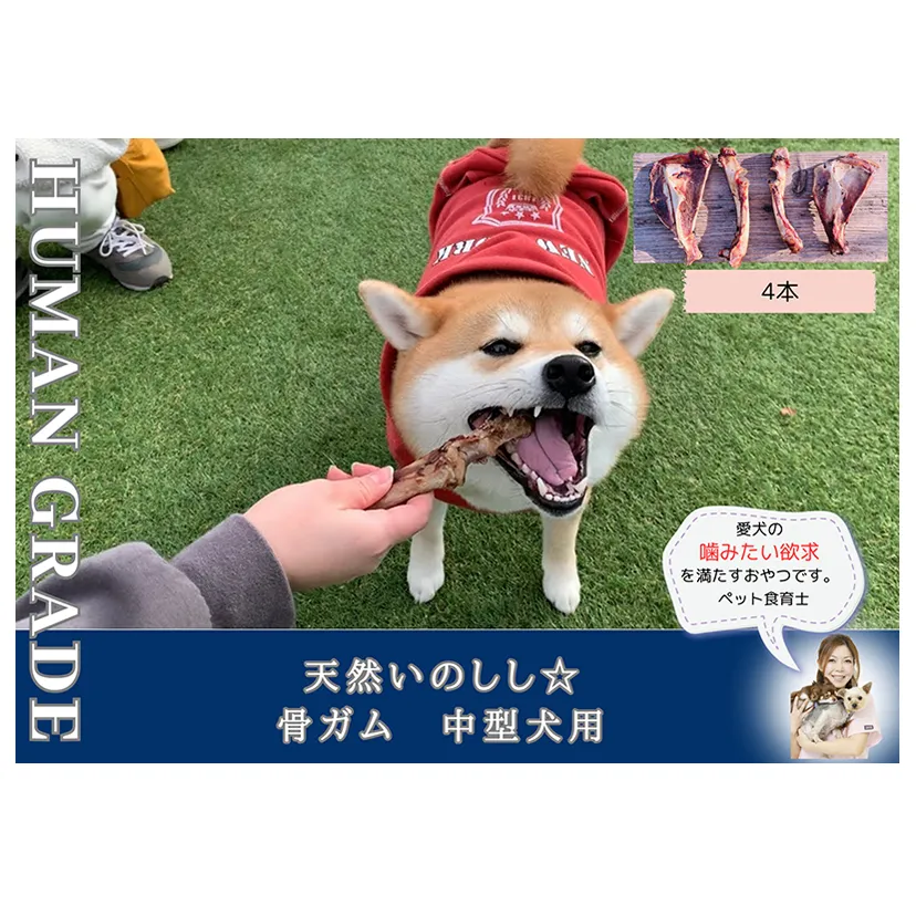 FB175_中型犬向け☆天然いのししの骨ガム4本（300～400g）