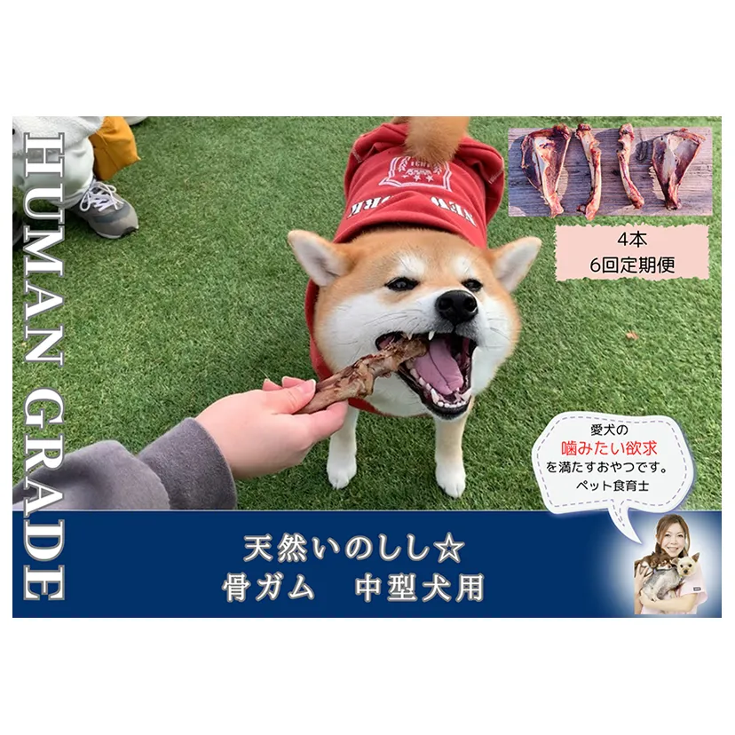 FB176_中型犬向け☆天然いのししの骨ガム4本（300～400g）【定期便】全6回