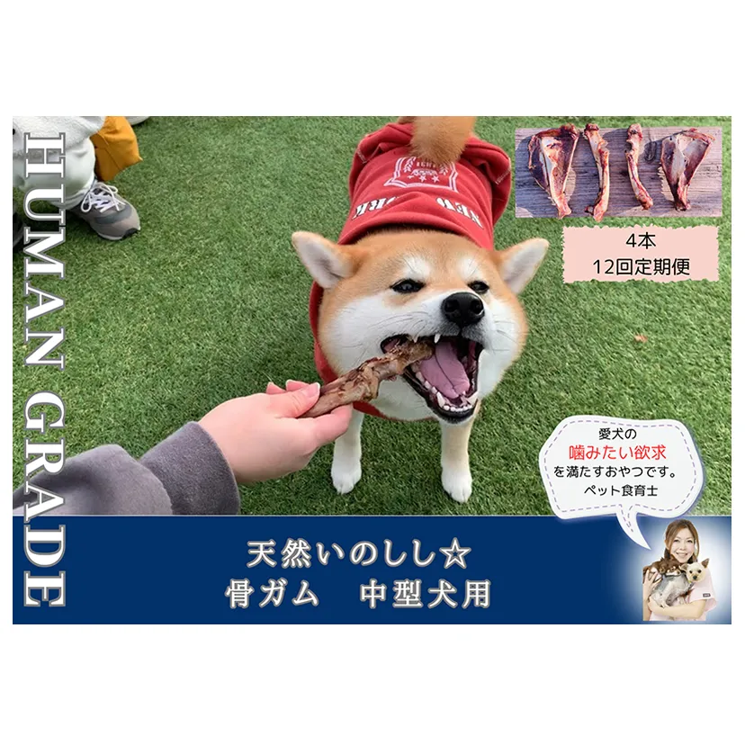 FB177_中型犬向け☆天然いのししの骨ガム4本（300～400g）【定期便】全12回