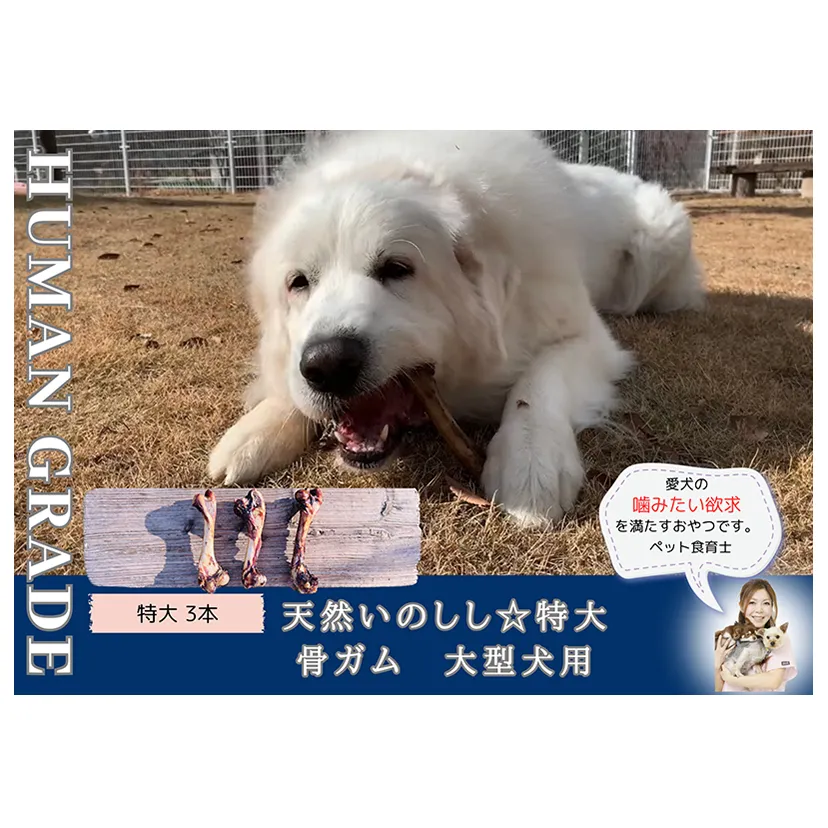 FB178_大型犬向け☆天然いのししの骨ガム3本