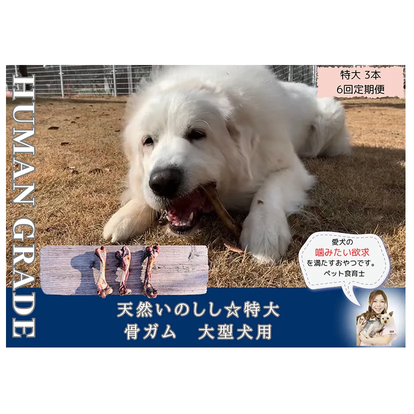 FB179_大型犬向け☆天然いのししの骨ガム3本【定期便】全6回