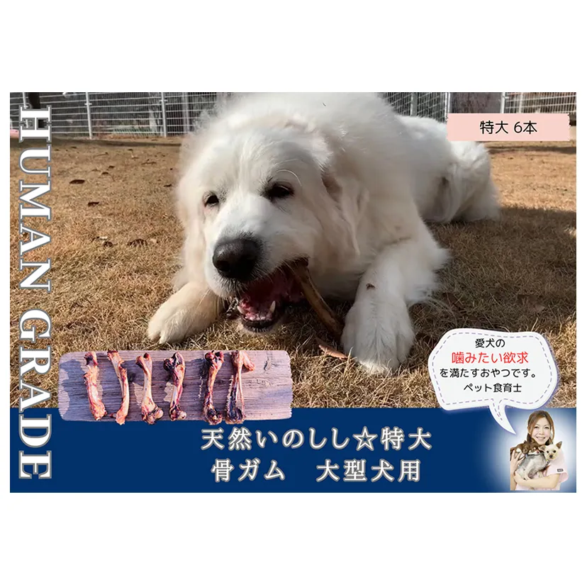 FB181_大型犬向け☆天然いのししの骨ガム6本