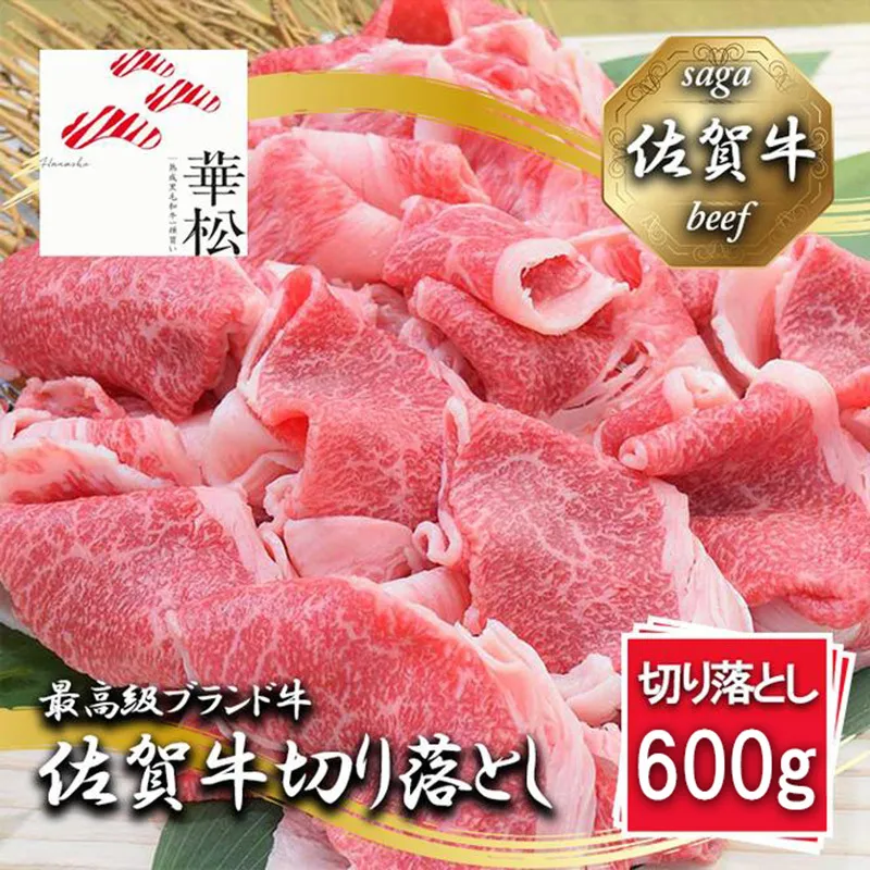 BL093_【冷凍】佐賀牛切り落とし600g(300g×２パック）
