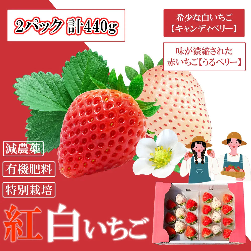 GF001_【2026年12月～4月発送】紅白いちご440g ゆりかーごC2パック