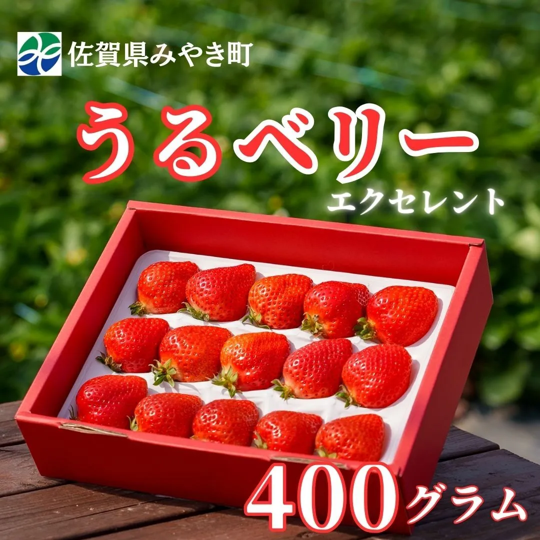 GF003_【2026年12月～4月発送】エクセレント400ｇ