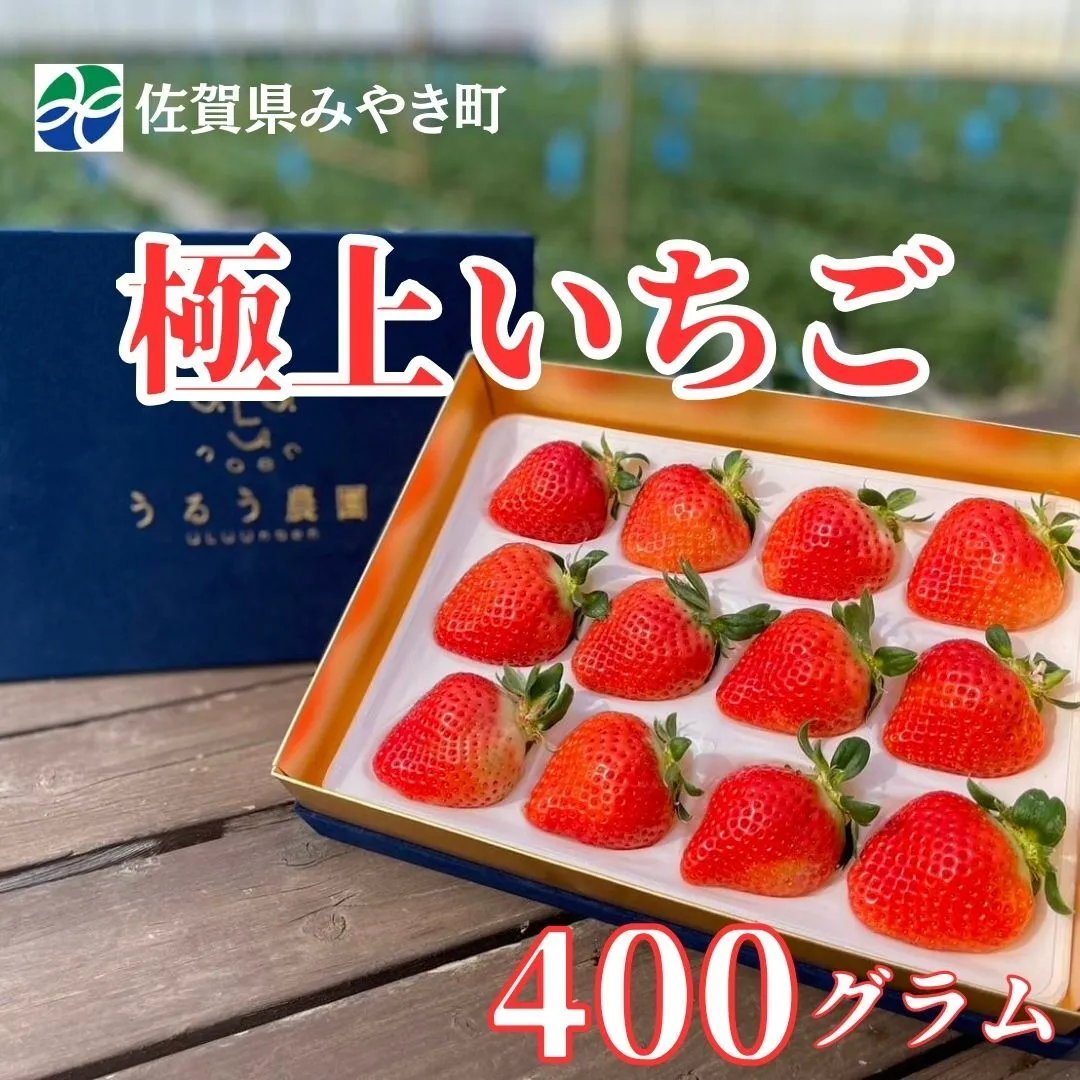 GF005_【2026年12月～4月発送】極上いちご 400ｇ