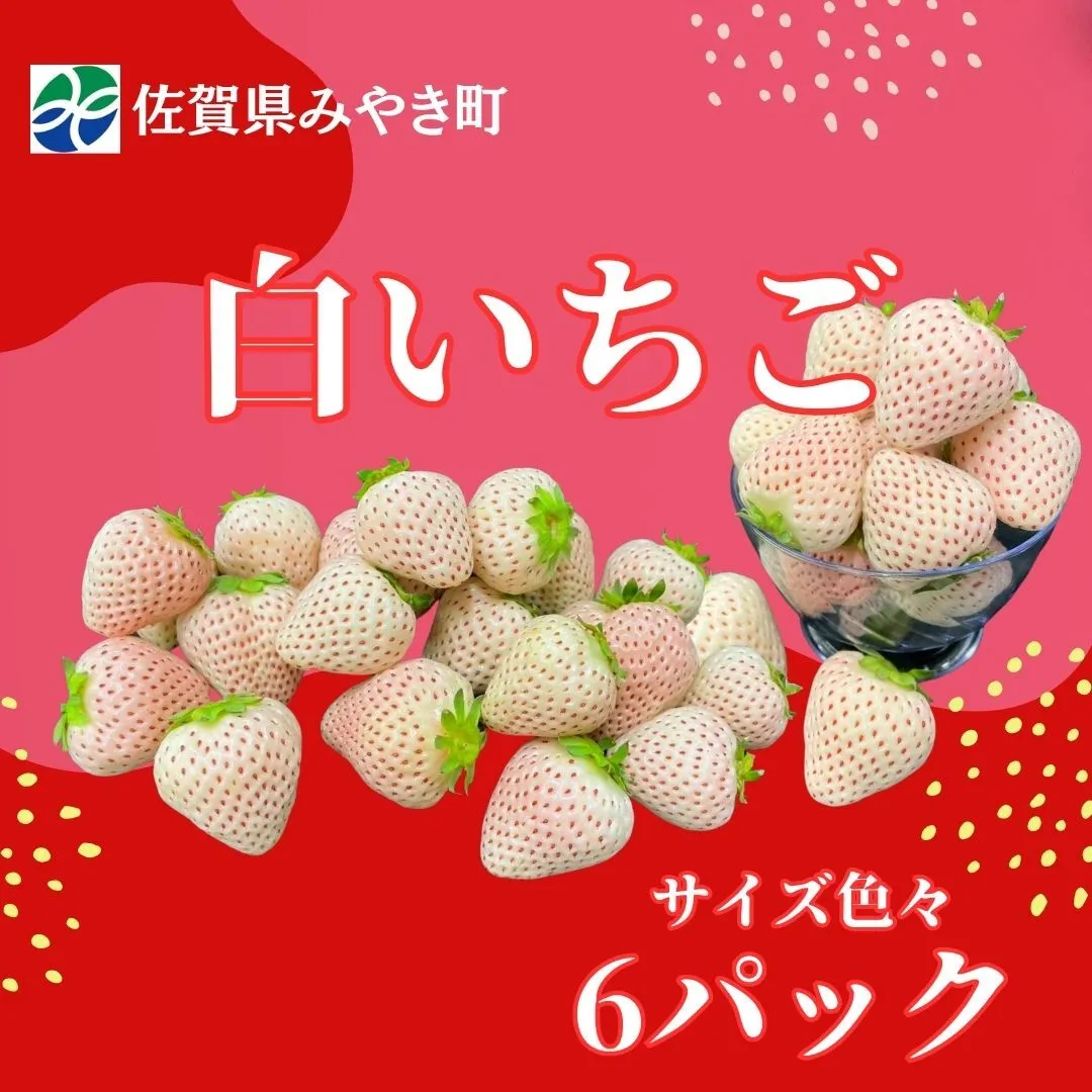 GF011_【2026年12月～4月発送】白いちごサイズ色々6パック