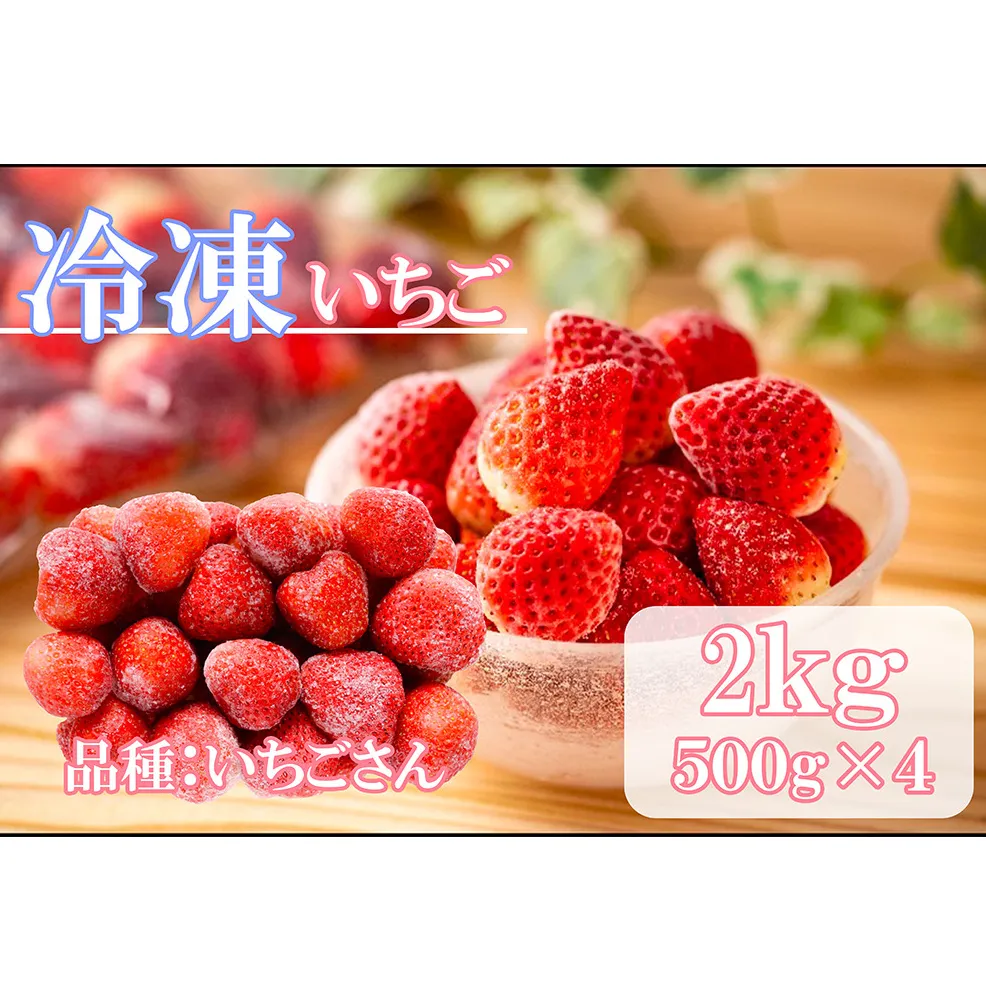 DV228_冷凍いちご（いちごさん）2kg(500gX4)