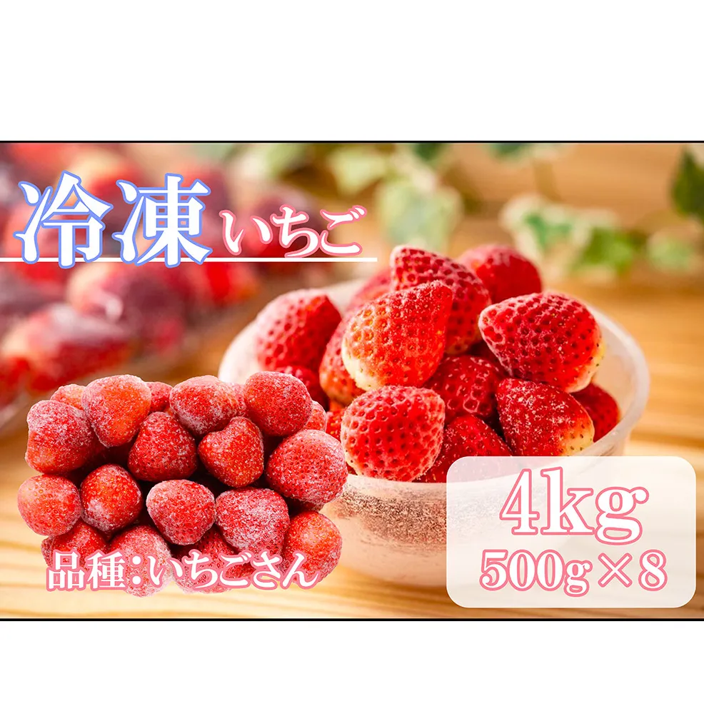DV230_冷凍いちご（いちごさん）4kg(500gX8)
